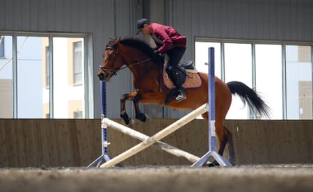 Yue & Yue: Yue Art Museum + Yue Equestrian Hall